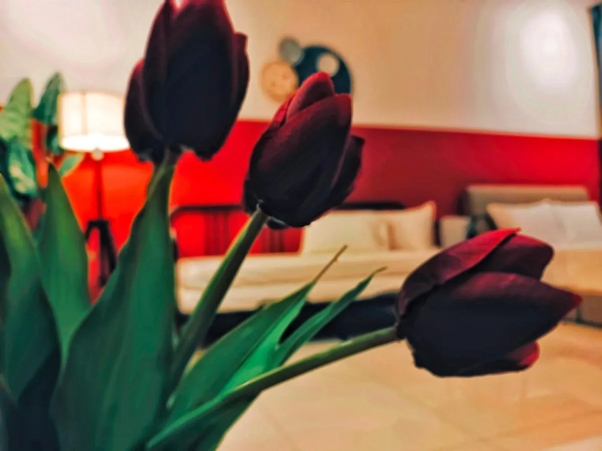 New Georgetown Stylist 2Br Homestay For 10Pax 无敌美景两房民宿 Beacon Executive Suite 0*, George Town Malásia